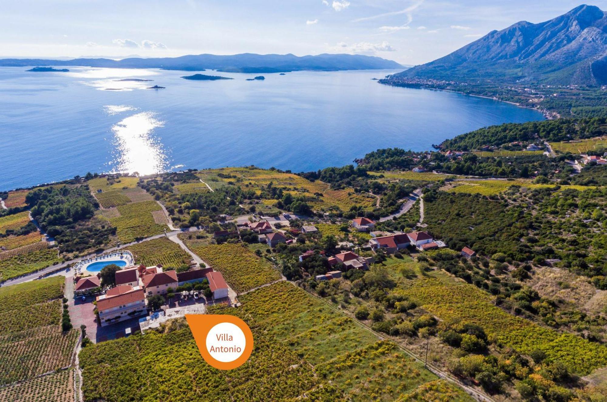 Hotel Pansion Villa Antonio Orebić Værelse billede